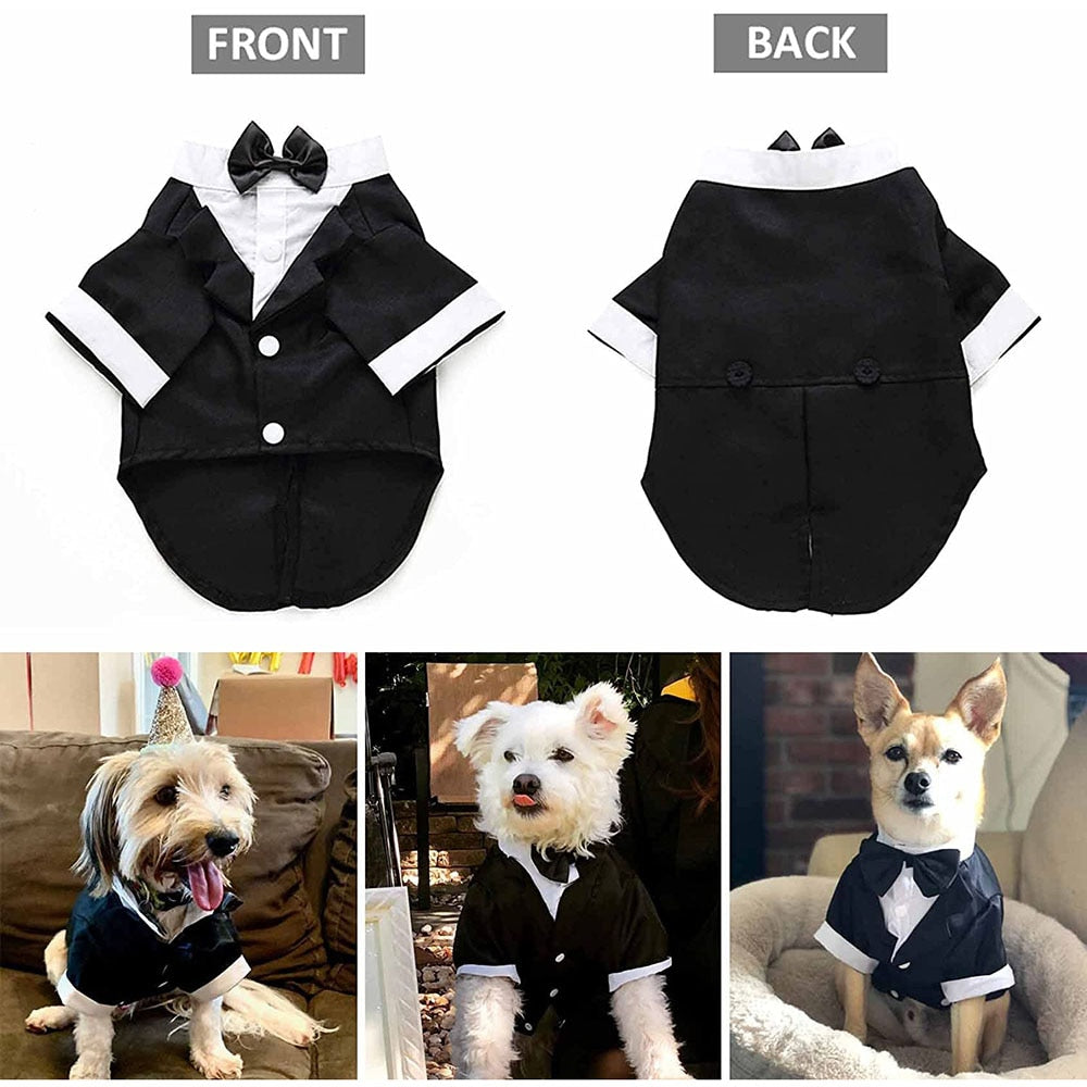 Dog Tuxedo