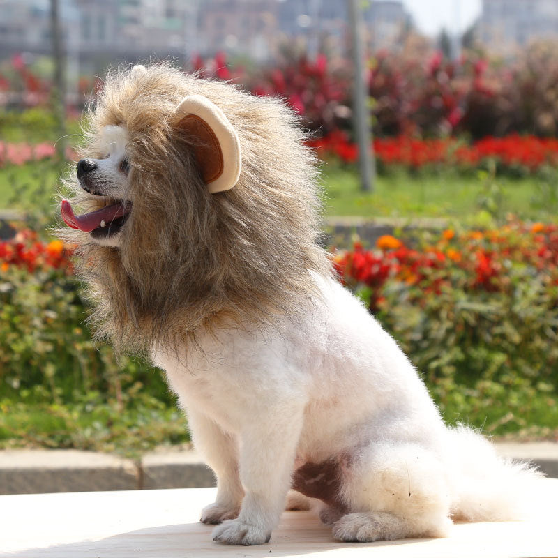 Lion Mane Outfit