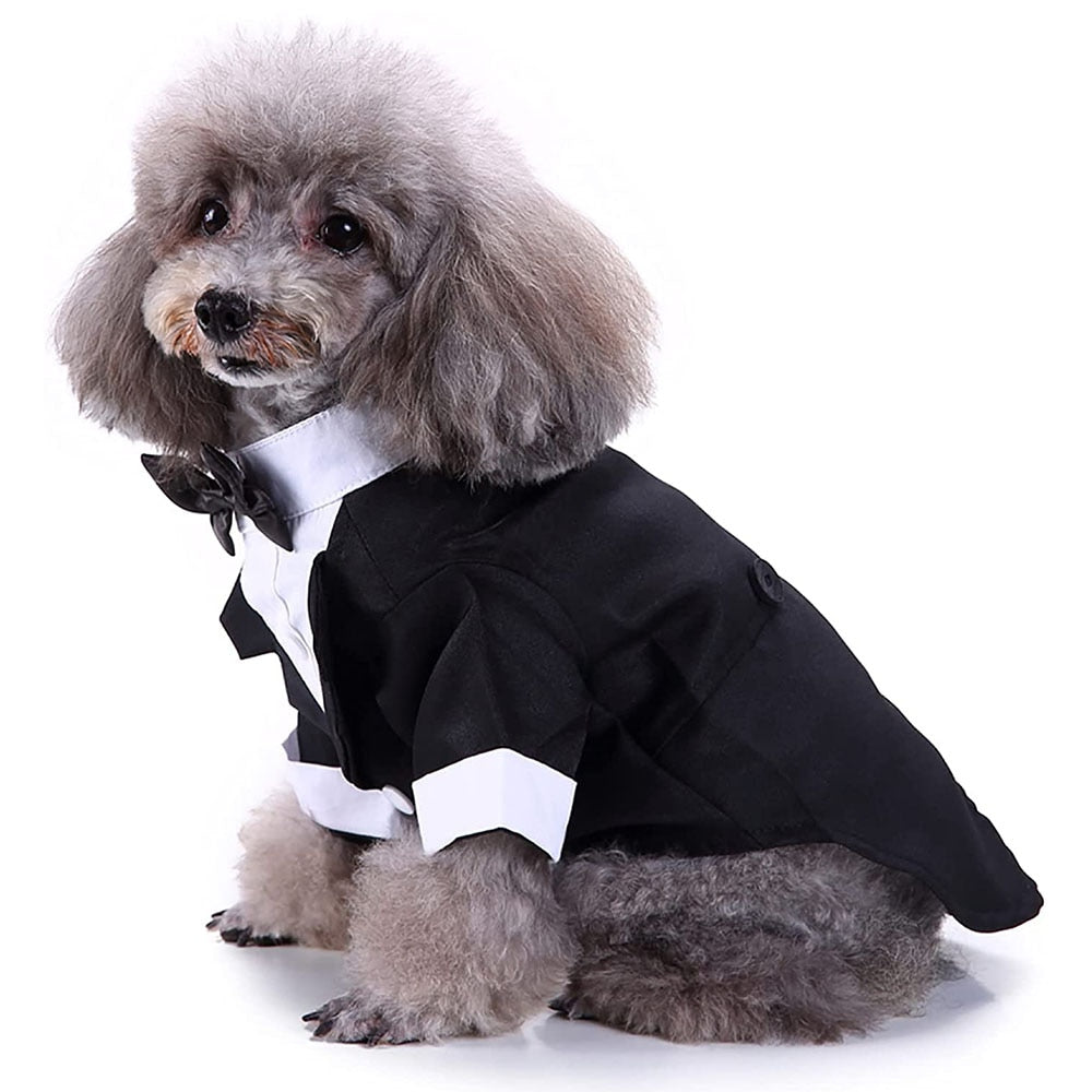 Dog Tuxedo