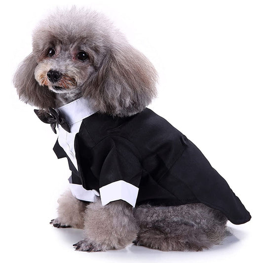 Dog Tuxedo