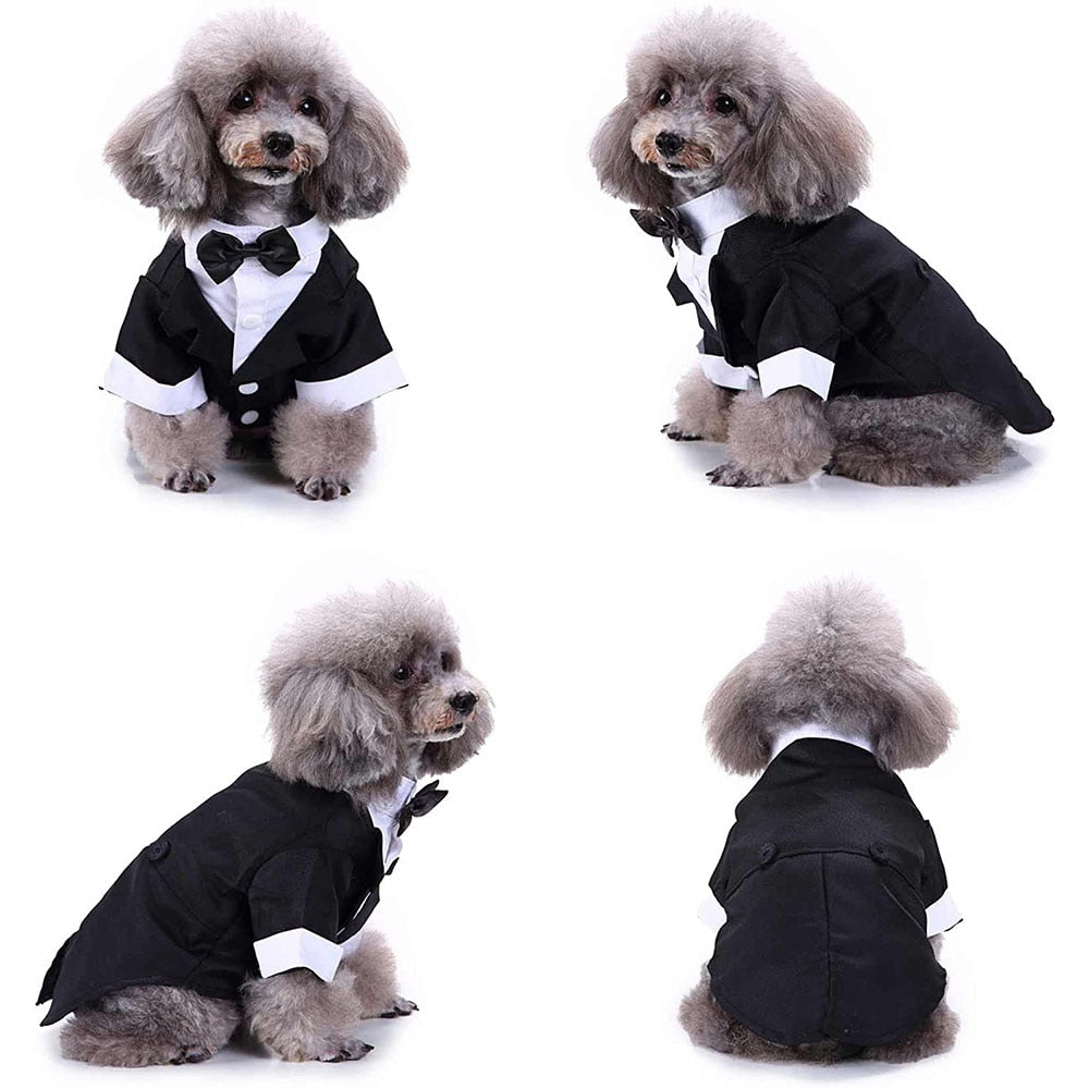 Dog Tuxedo
