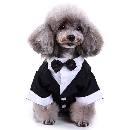 Dog Tuxedo