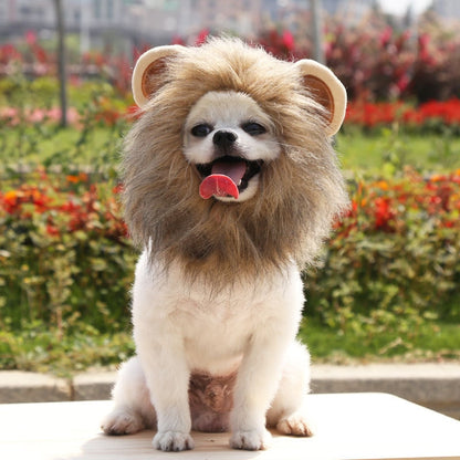 Lion Mane Outfit