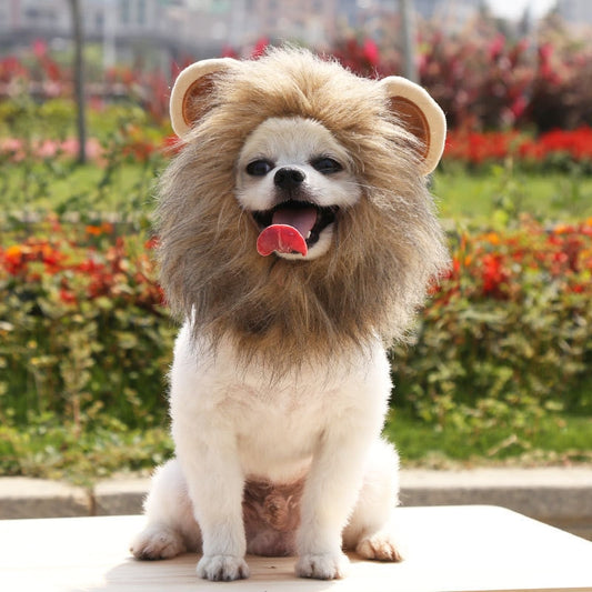 Lion Mane Outfit