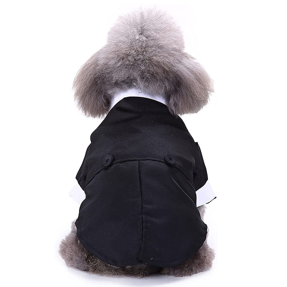 Dog Tuxedo