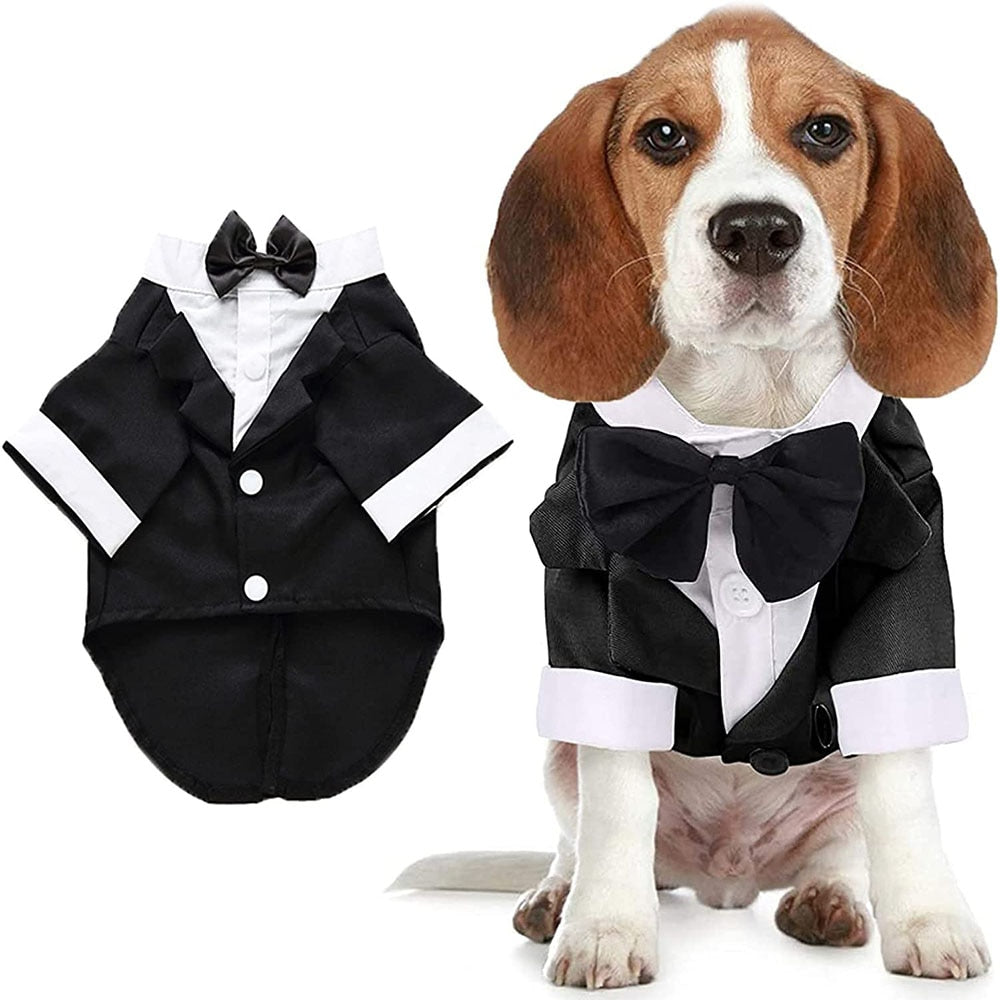 Dog Tuxedo